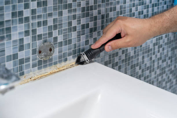 Best Home Mold Removal  in Point Pleasant Beach, NJ